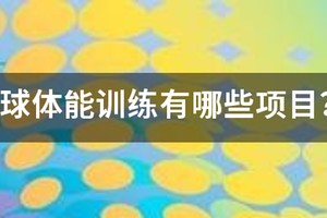 青少年篮球体能训练动作大全